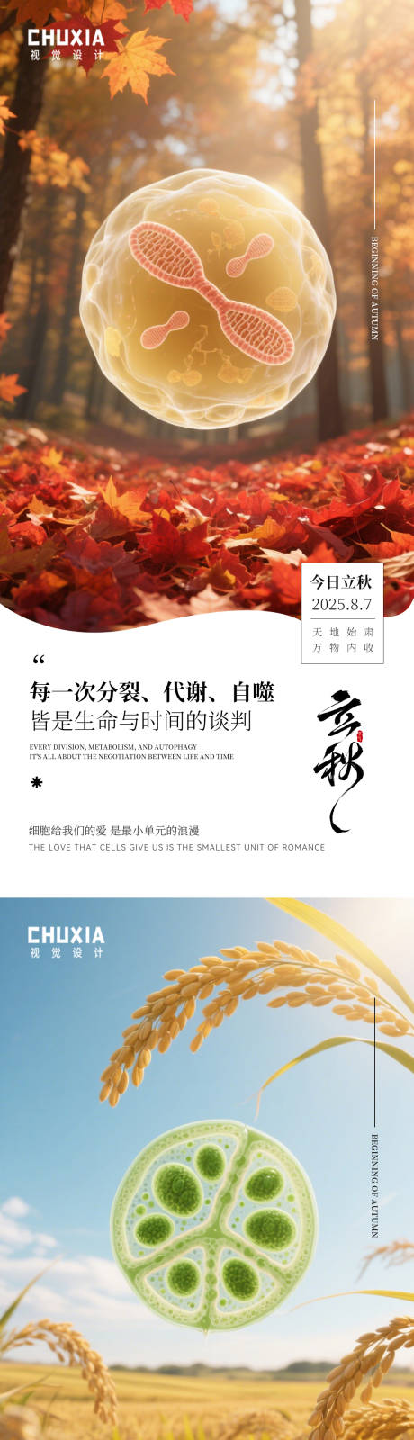源文件下载【享设计】搜索编号：64250032160515058【立秋节气移动端海报】