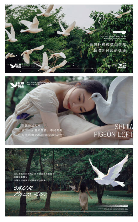 源文件下載【享設計】搜索編號：63480031921006249【白鴿banner輪播圖】