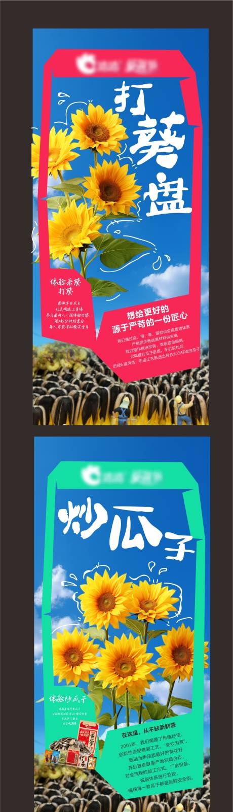 源文件下载【彩色时尚瓜子展架海报】编号：48570031995354046
