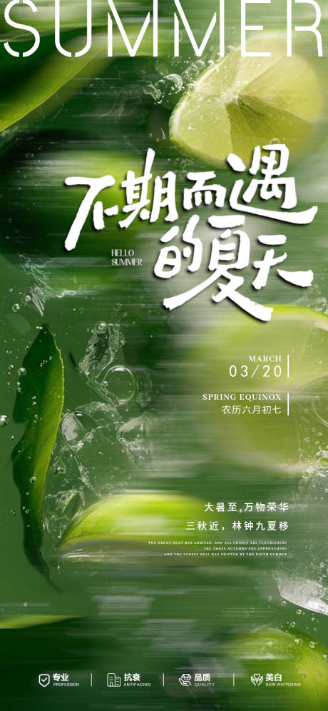 源文件下载【美业地产夏至节气海报】编号：89690031850509055