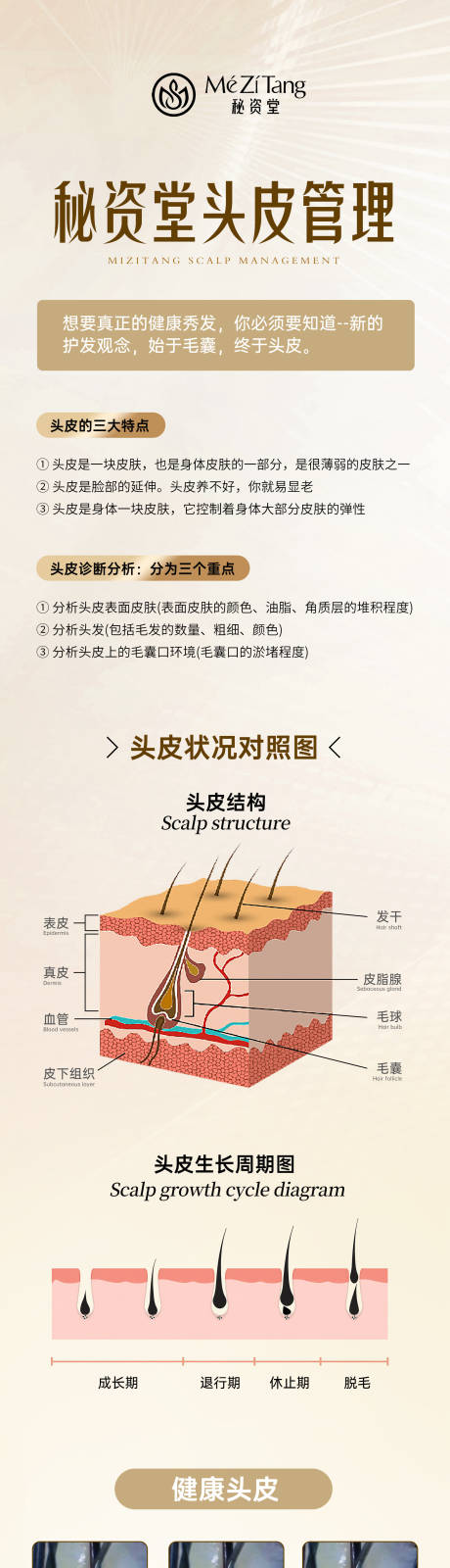 源文件下载【享设计】搜索编号：57650032092872646【头皮管理医美长图海报】
