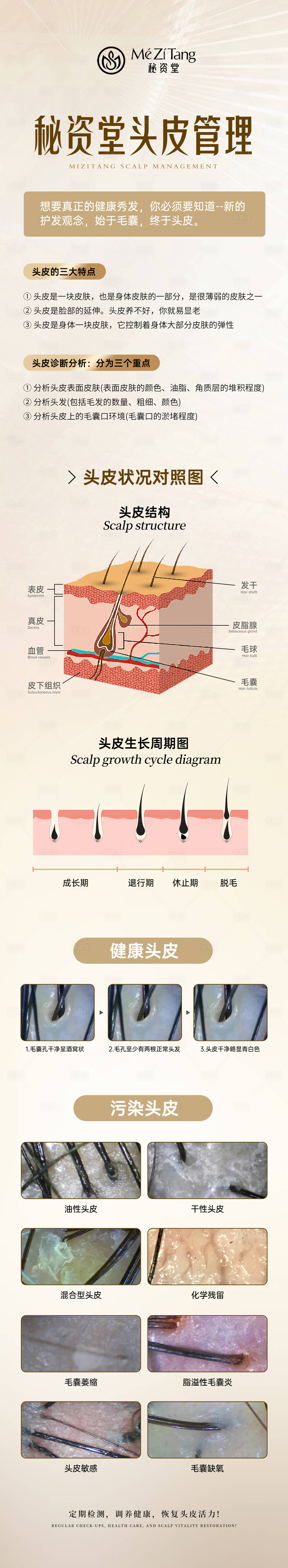 源文件下載【享設(shè)計(jì)】搜索編號(hào)：57650032092872646【頭皮管理醫(yī)美長(zhǎng)圖海報(bào)】