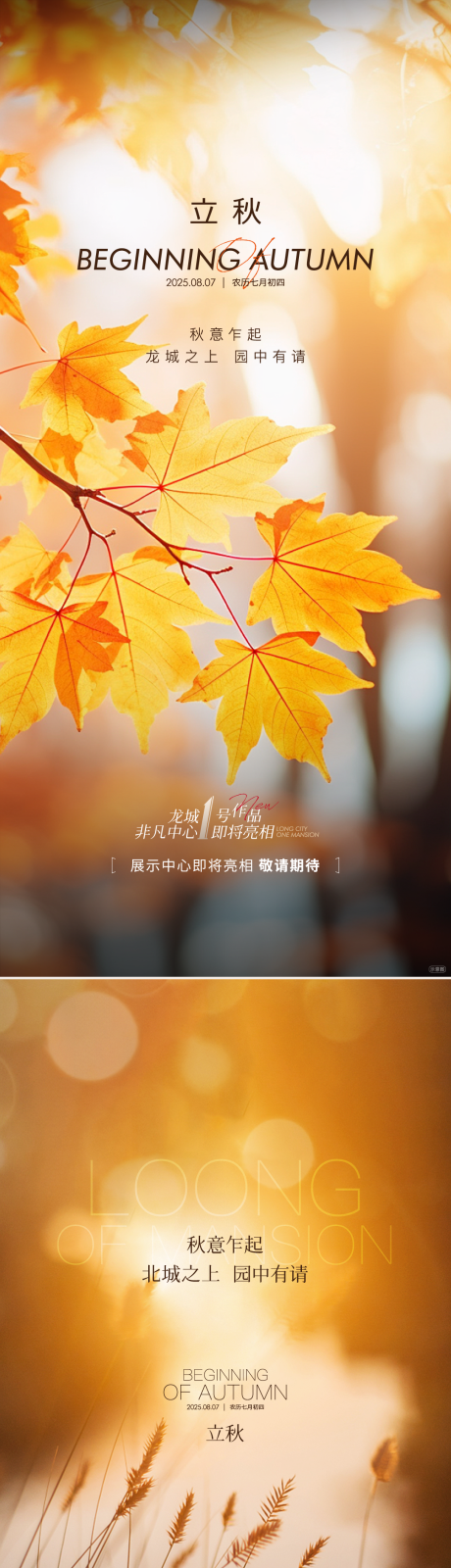源文件下載【地產(chǎn)立秋節(jié)氣海報(bào)】編號(hào)：91740032186842063