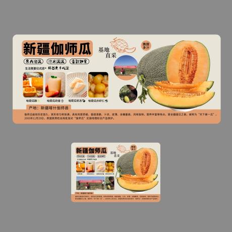 新疆伽师瓜海报展板