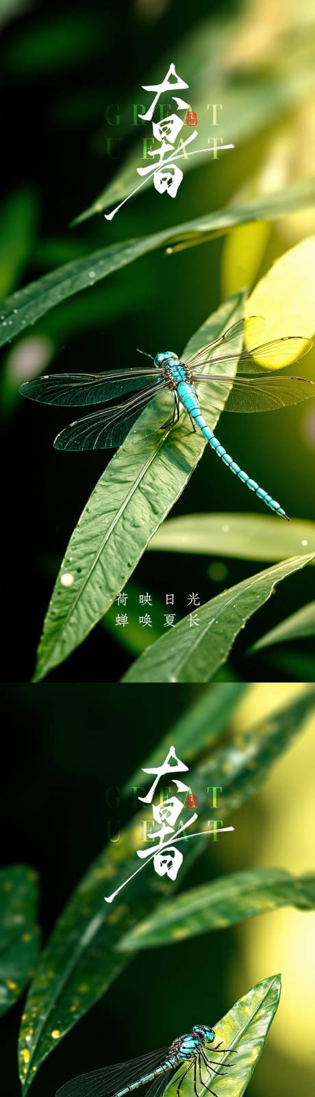源文件下载【享设计】搜索编号：73990031889388055【大暑小暑处暑节气节日海报】