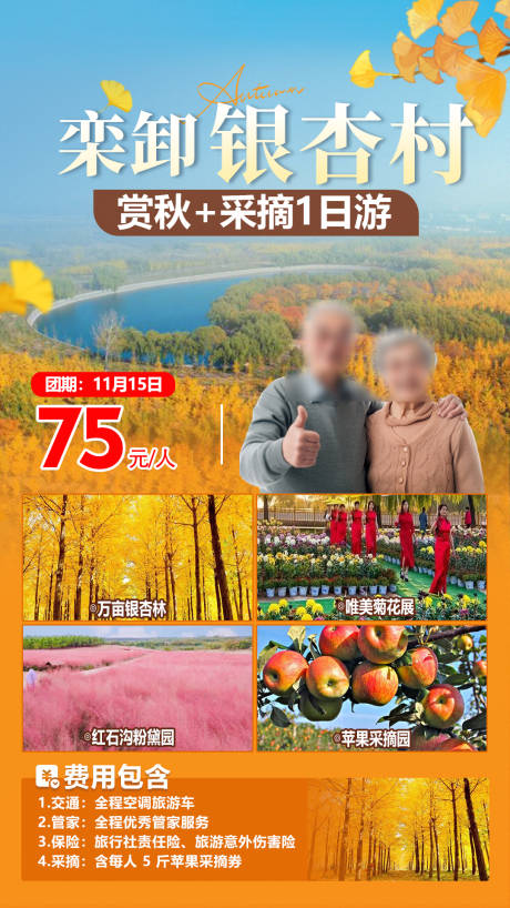 源文件下载【秋季栾卸赏杏花旅游海报】编号：66220032014659020