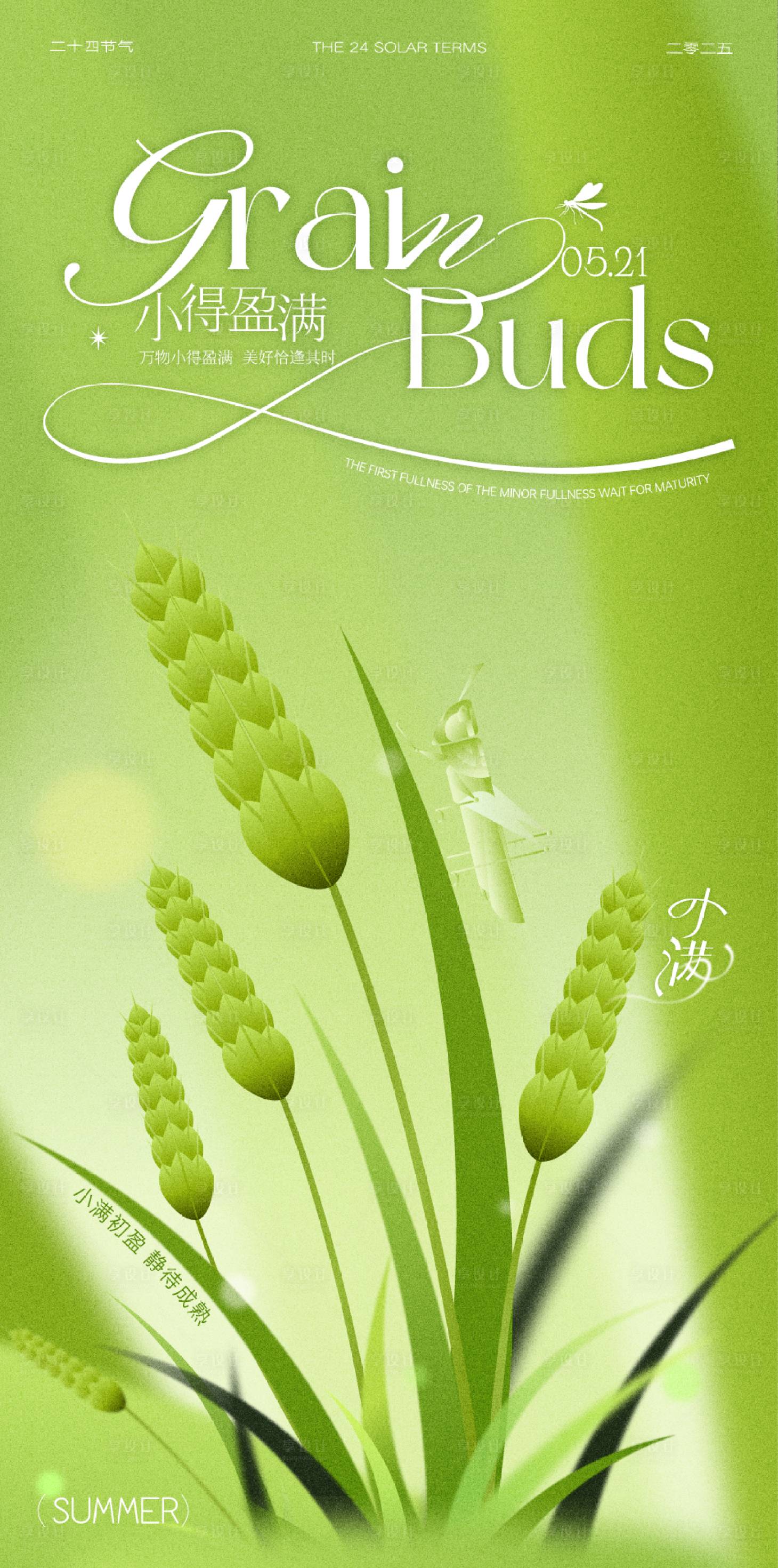 源文件下載【小滿節(jié)日節(jié)氣海報】編號：65840031934286618