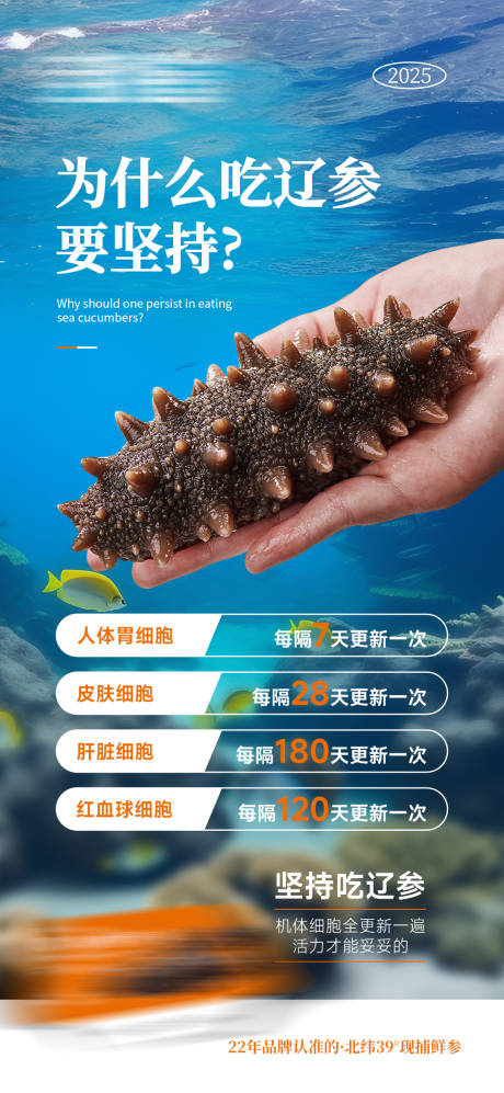 源文件下載【享設計】搜索編號：24850032171005041【海參】