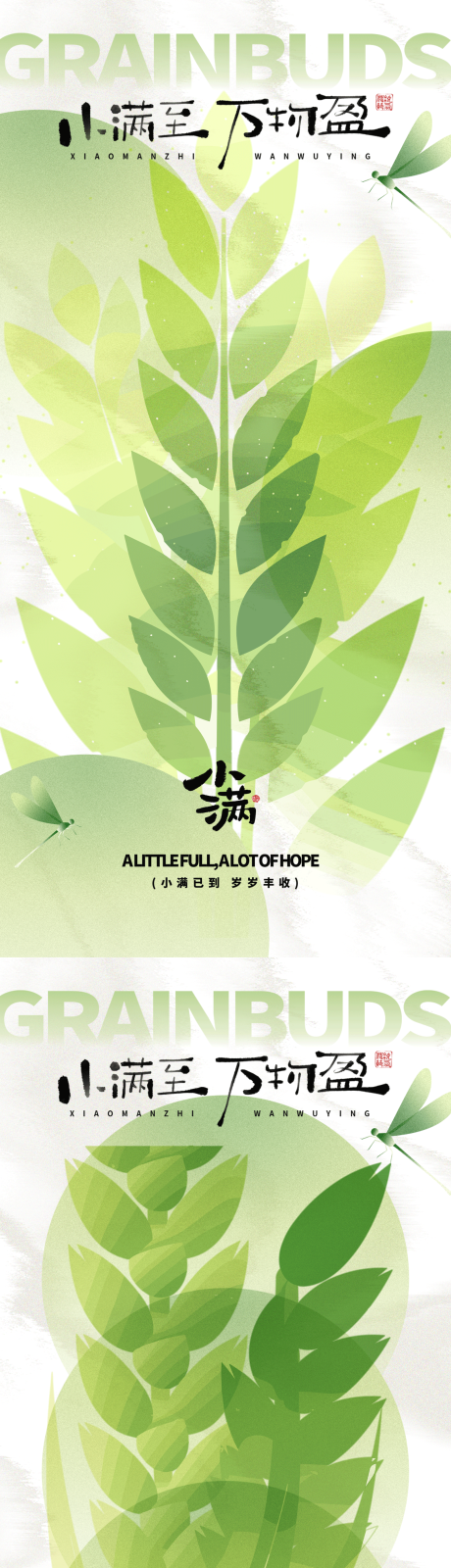 源文件下载【夏天小满麦穗插画海报】编号：56300031750941460