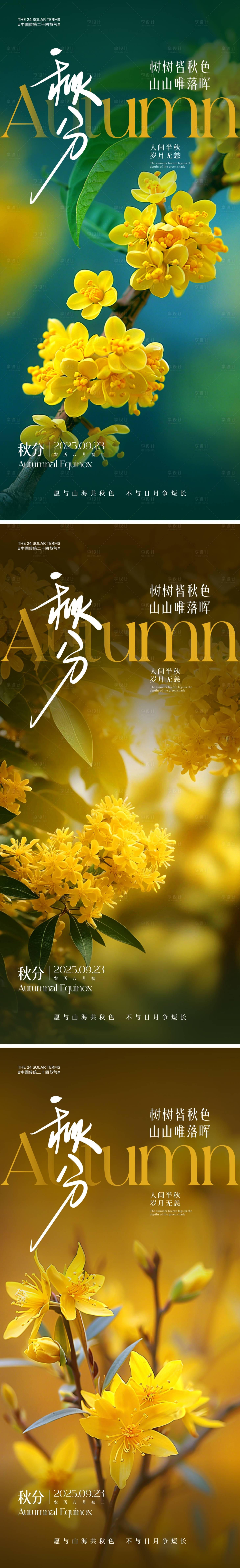 源文件下载【享设计】搜索编号：65050031961832112【秋分节气系列海报】