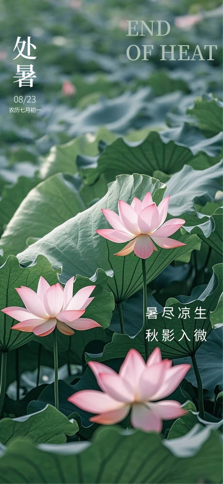 源文件下载【享设计】搜索编号：47490032441629786【处暑节气海报】