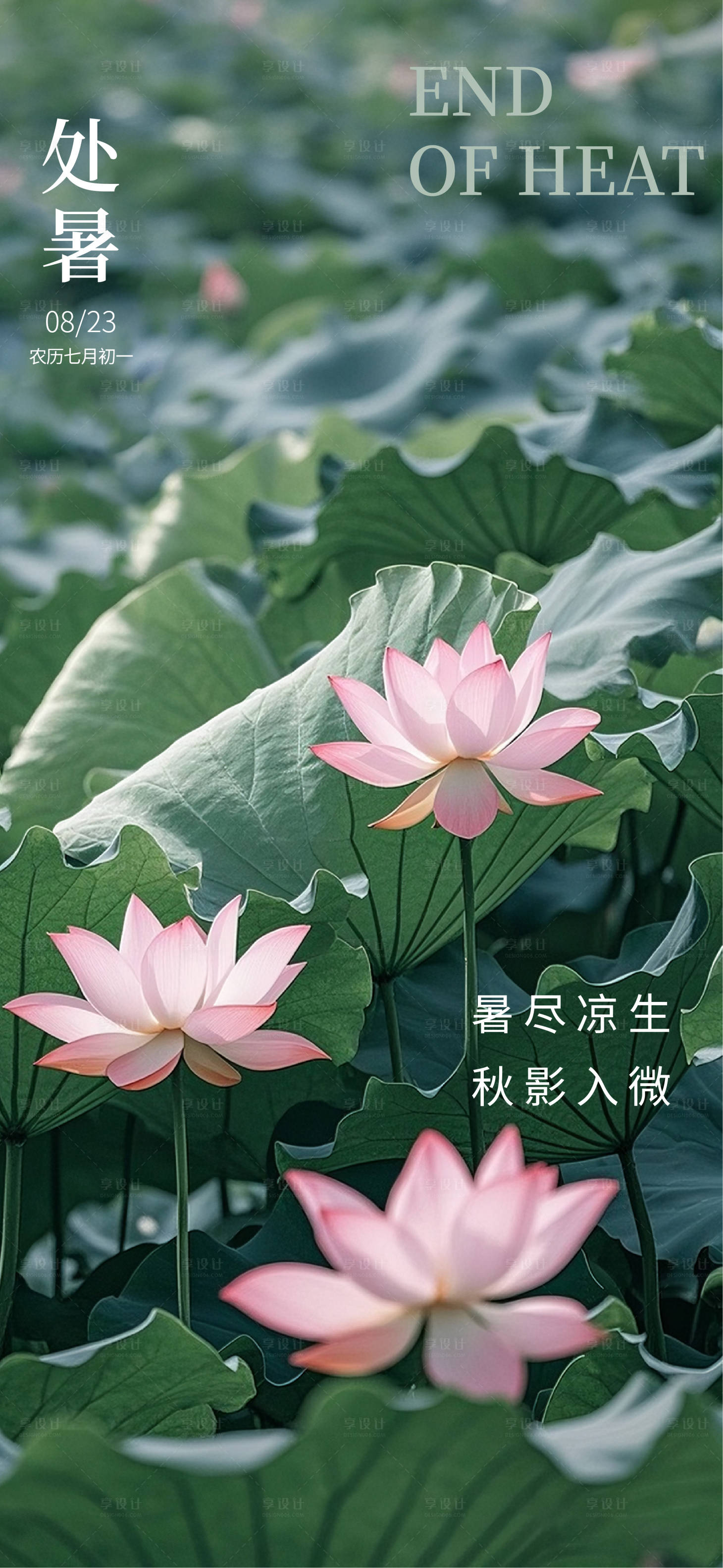 源文件下载【享设计】搜索编号：47490032441629786【处暑节气海报】