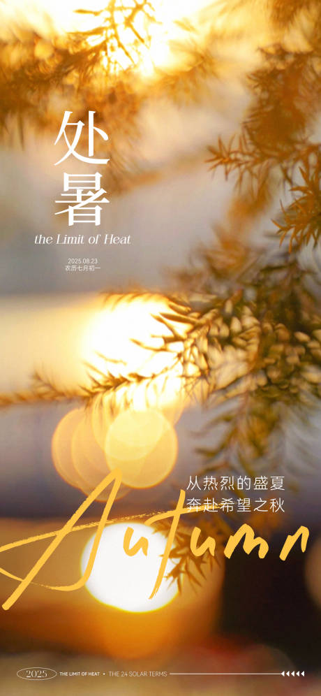 地产处暑节气海报