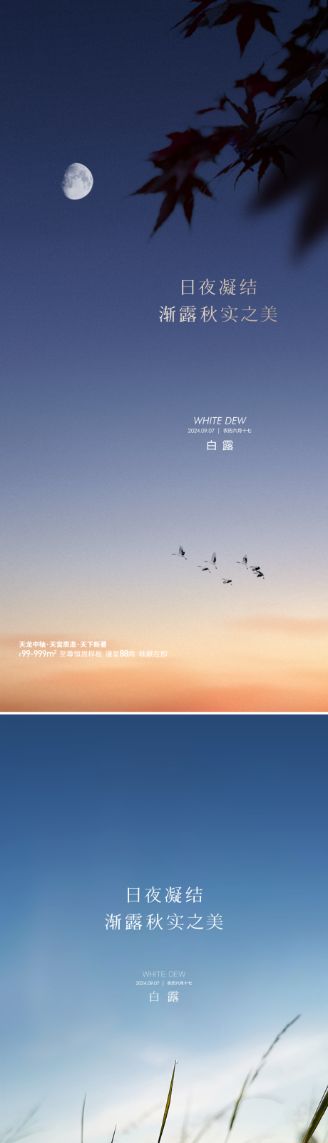 源文件下载【享设计】搜索编号：40420032773632274【地产白露节气节日海报】