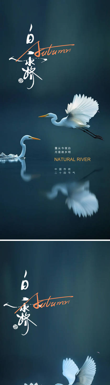 源文件下载【享设计】搜索编号：49950032791647418【白露24节气海报】