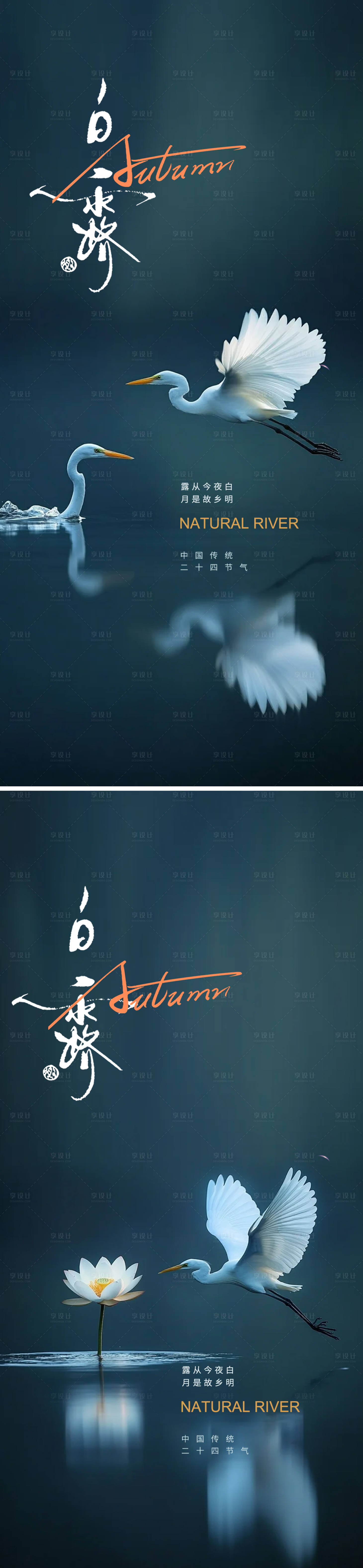 源文件下载【享设计】搜索编号：49950032791647418【白露24节气海报】