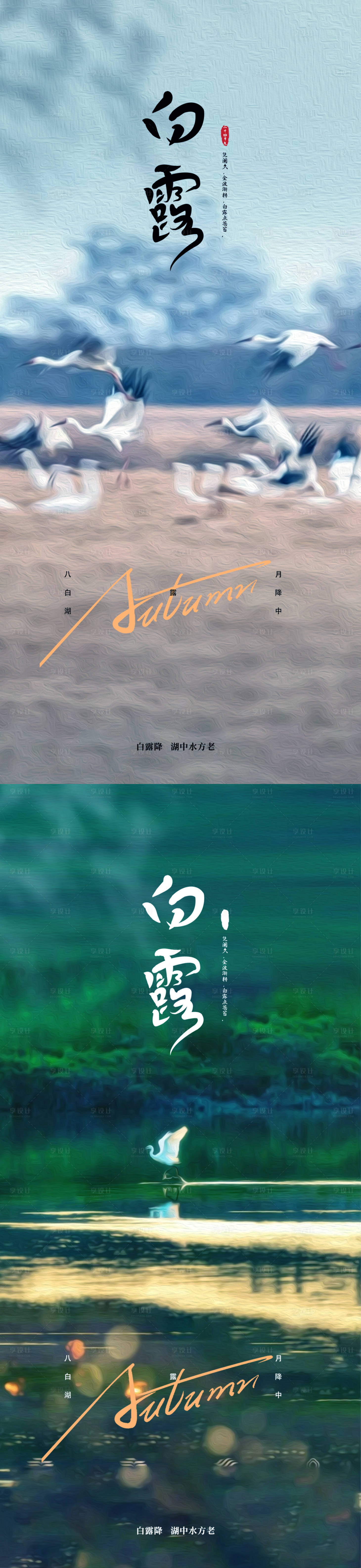 源文件下載【享設(shè)計(jì)】搜索編號(hào)：60970032770957782【白露24節(jié)氣海報(bào)】