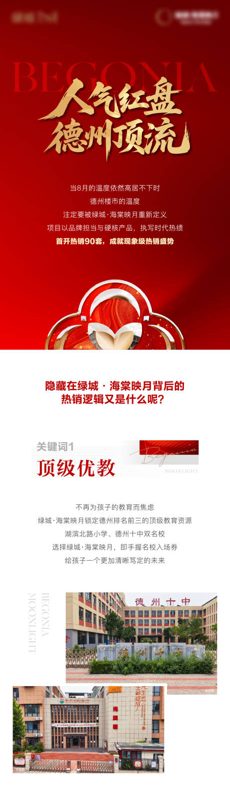源文件下载【享设计】搜索编号：73880032683264961【地产热销红盘价值点长图】