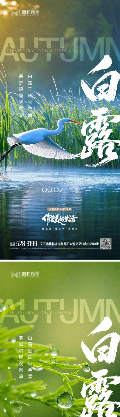 源文件下載【享設計】搜索編號：55400032785103939【2025白露二十四節氣節日海報】