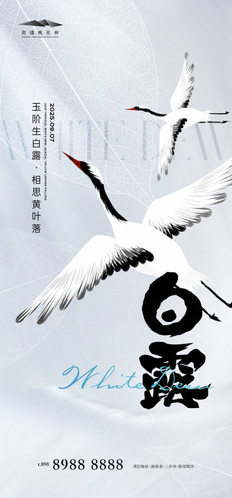 源文件下载【享设计】搜索编号：45850032656872065【白露海报】