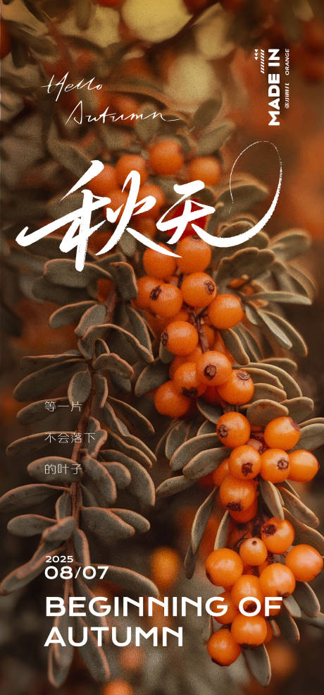 源文件下載【享設計】搜索編號：85670032320998308【秋日節氣】