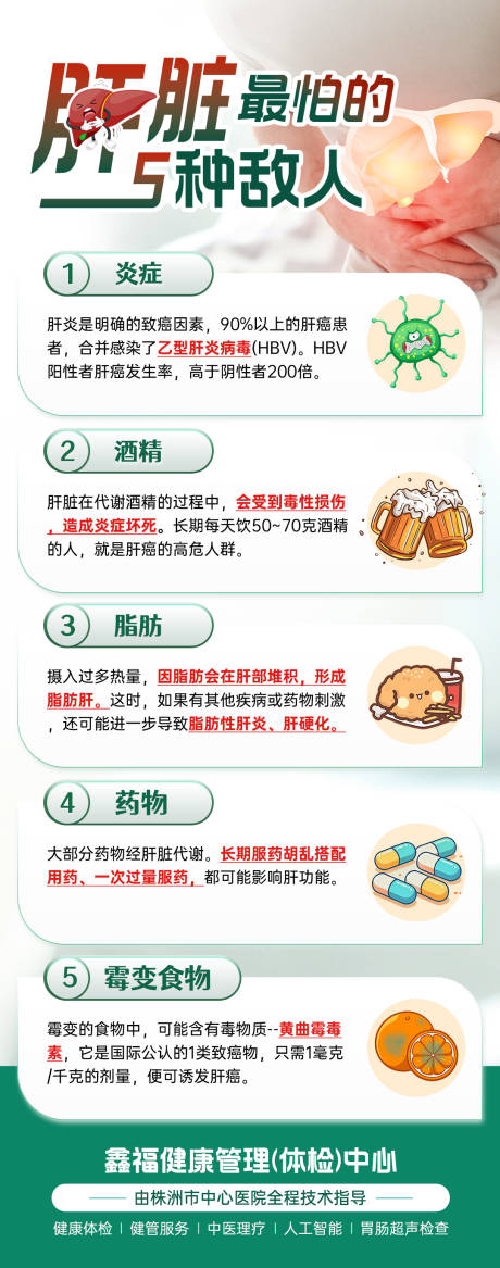 源文件下载【享设计】搜索编号：46360032412271944【护肝科普海报】
