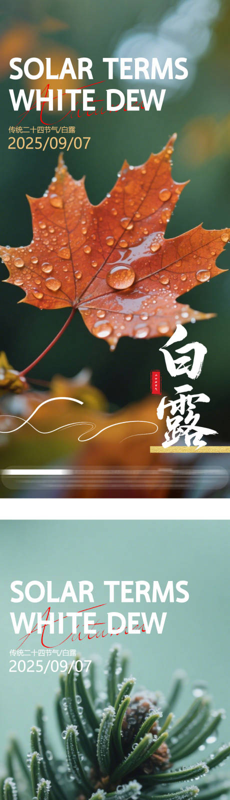 源文件下載【享設計】搜索編號：19290032663286133【白露節氣海報】