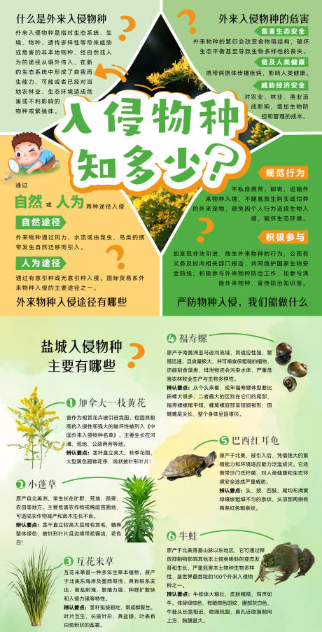 源文件下载【享设计】搜索编号：93240032677424102【自然物种入侵两折页】