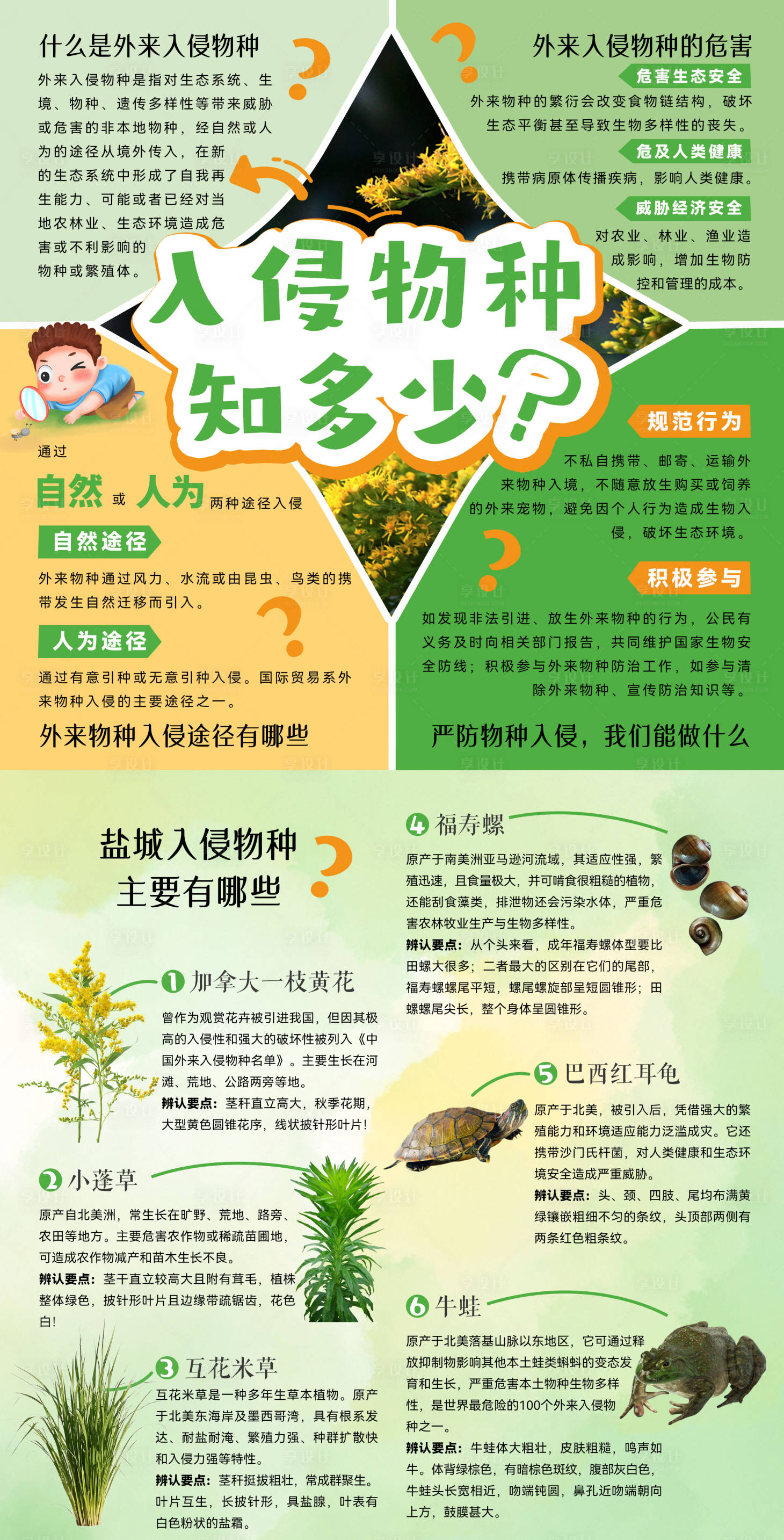 源文件下载【享设计】搜索编号：93240032677424102【自然物种入侵两折页】