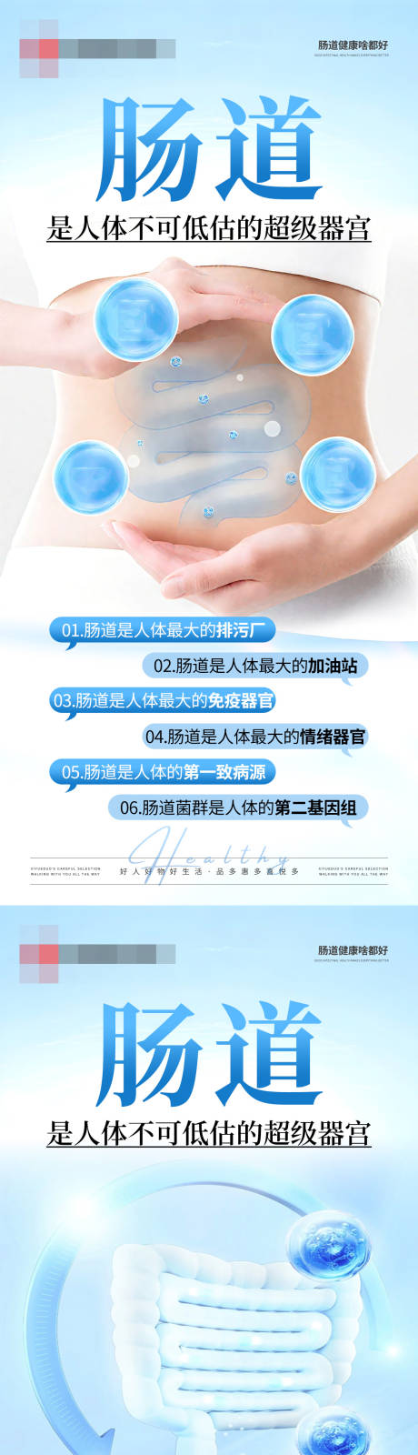 源文件下载【享设计】搜索编号：73440032779015969【肠道器官健康海报】