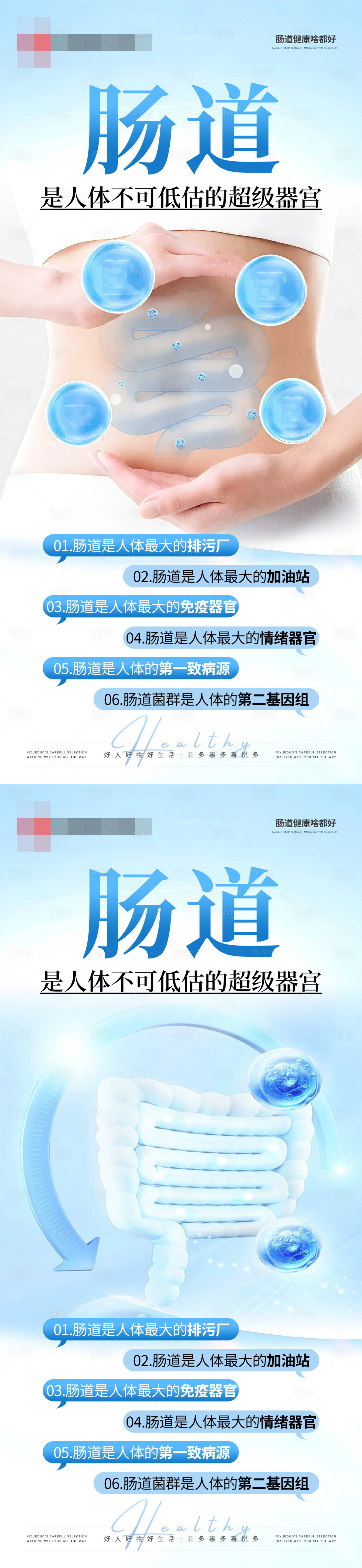 源文件下载【享设计】搜索编号：73440032779015969【肠道器官健康海报】