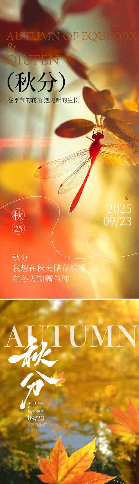 源文件下載【享設計】搜索編號：88020032643886126【秋分海報】