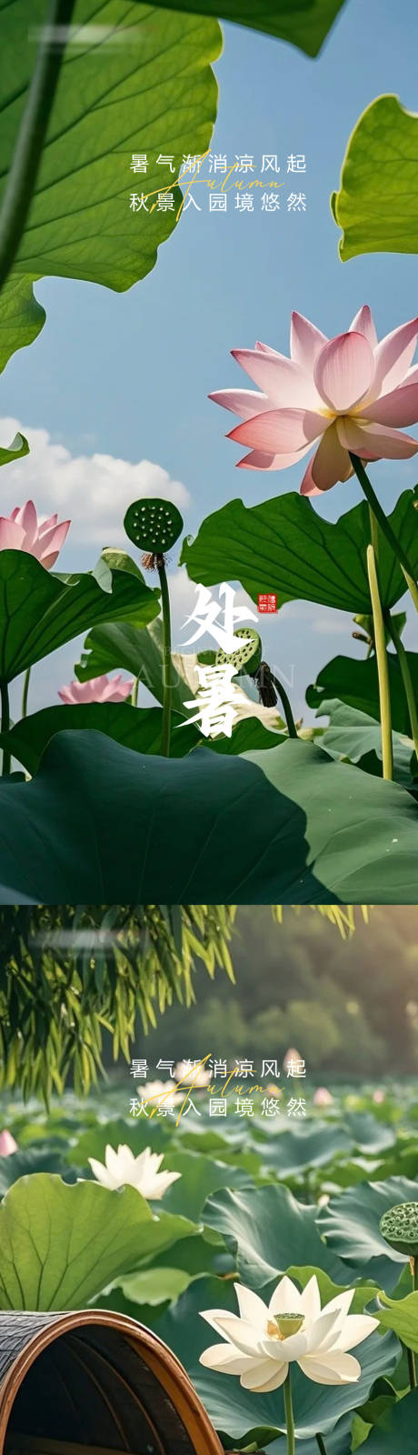 源文件下載【享設計】搜索編號：58460032488338748【處暑節氣移動端海報】