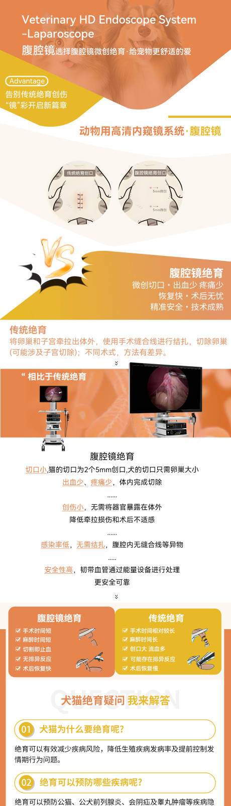 源文件下载【宠物绝育套餐长图海报】编号：65250032356093501