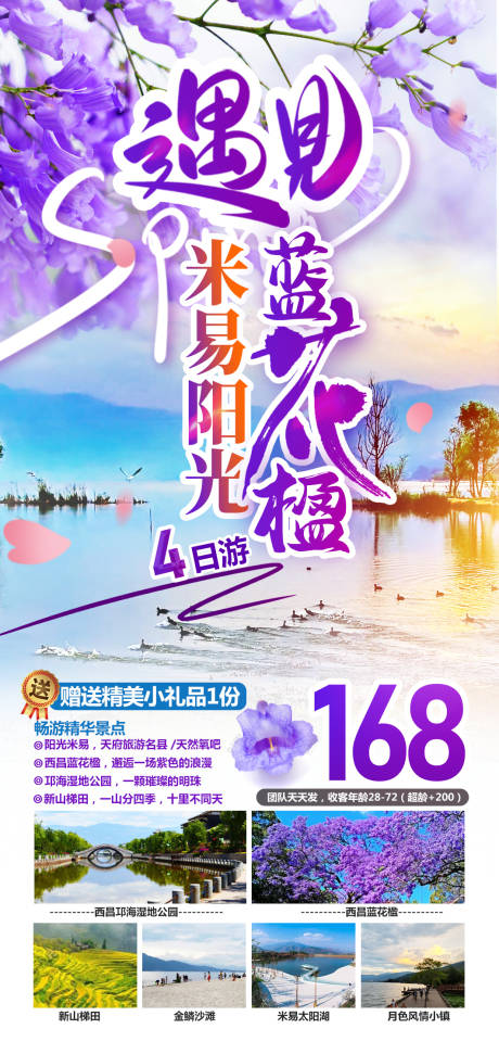源文件下载【享设计】搜索编号：63340032711419982【西昌蓝花楹旅游】