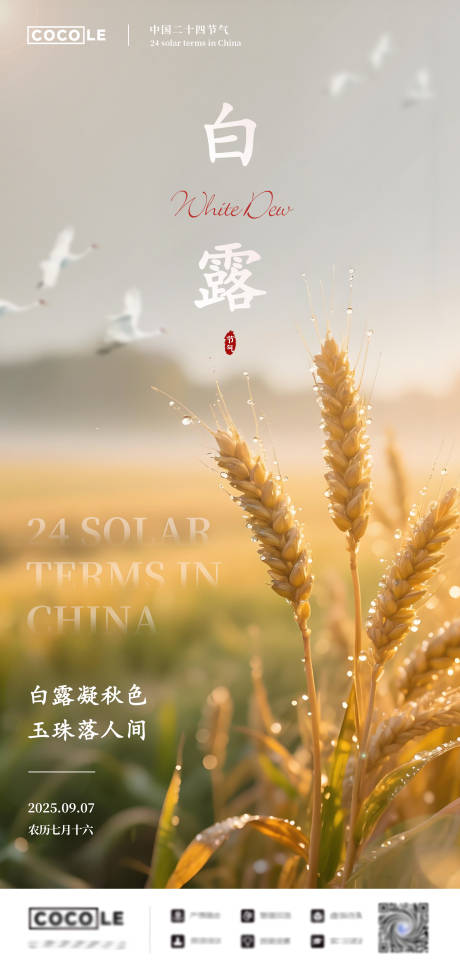 源文件下載【享設計】搜索編號：59350032720282824【白露節氣海報】