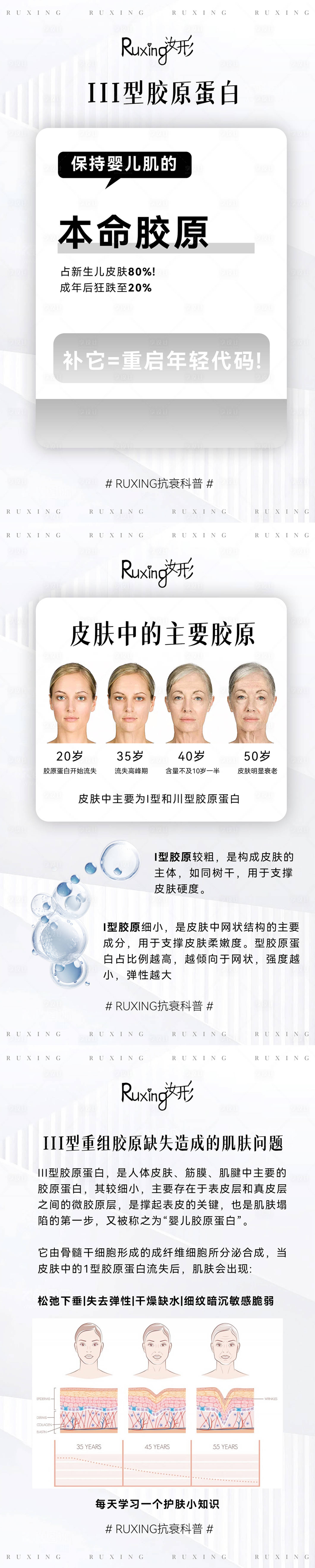 源文件下載【享設計】搜索編號：47110032510655627【III型膠原蛋白】