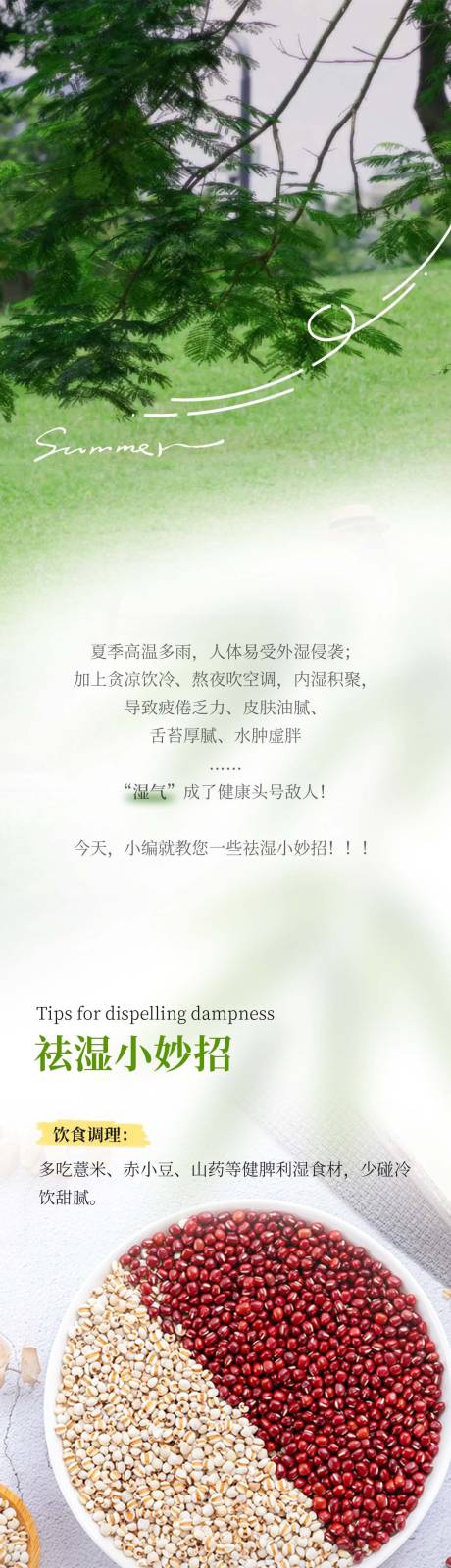 源文件下载【享设计】搜索编号：38240032783459103【祛湿推文长图】