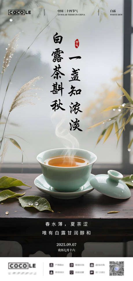 白露煮茶插画海报