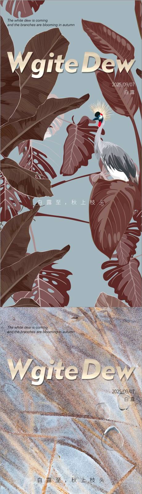 源文件下载【享设计】搜索编号：63550032771425741【白露】