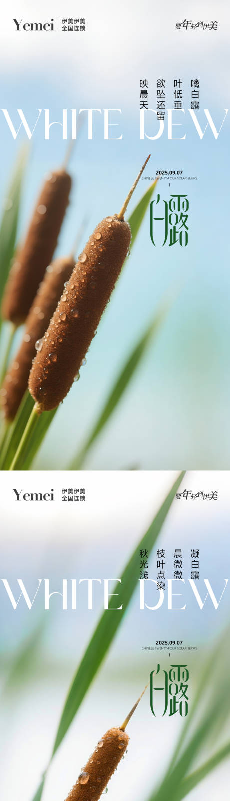 源文件下载【享设计】搜索编号：58950032699295326【医美白露节气系列海报】