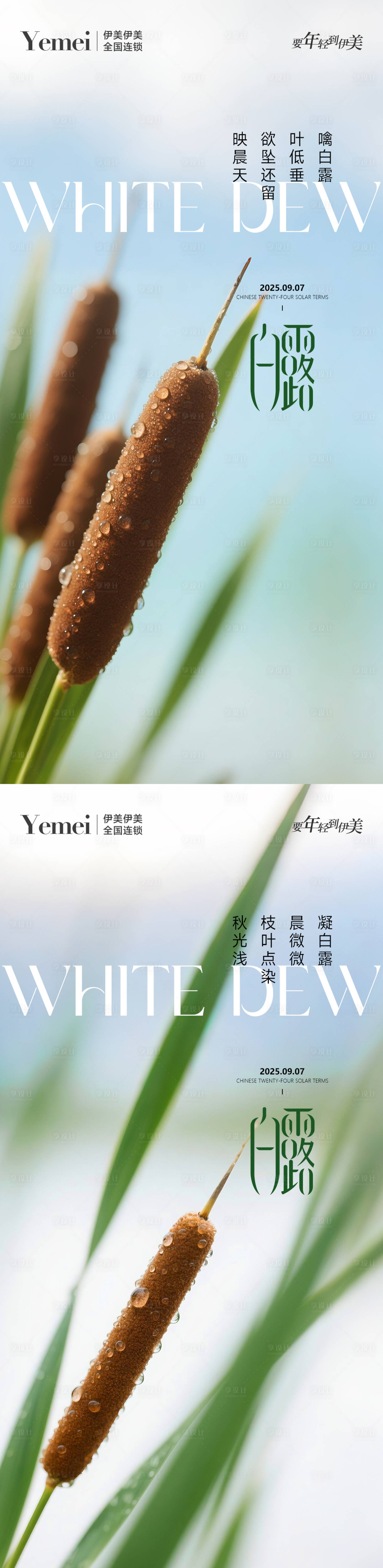 源文件下载【享设计】搜索编号：58950032699295326【医美白露节气系列海报】