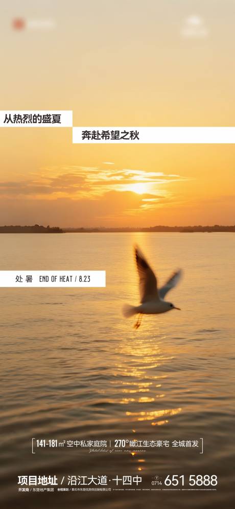 地产节气处暑海报