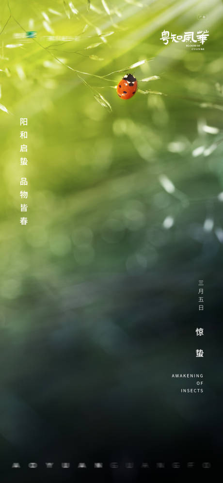 源文件下载【惊蛰节气海报】编号：18650032375431145