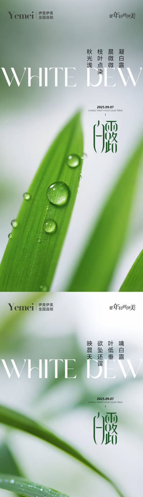 源文件下载【享设计】搜索编号：72130032707513320【白露节气系列海报】