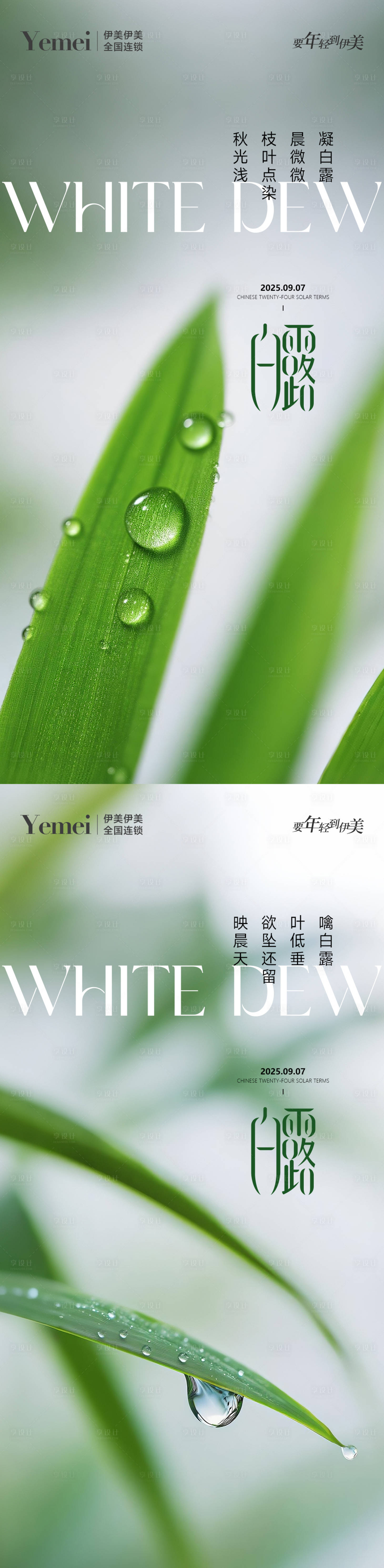 源文件下载【享设计】搜索编号：72130032707513320【白露节气系列海报】