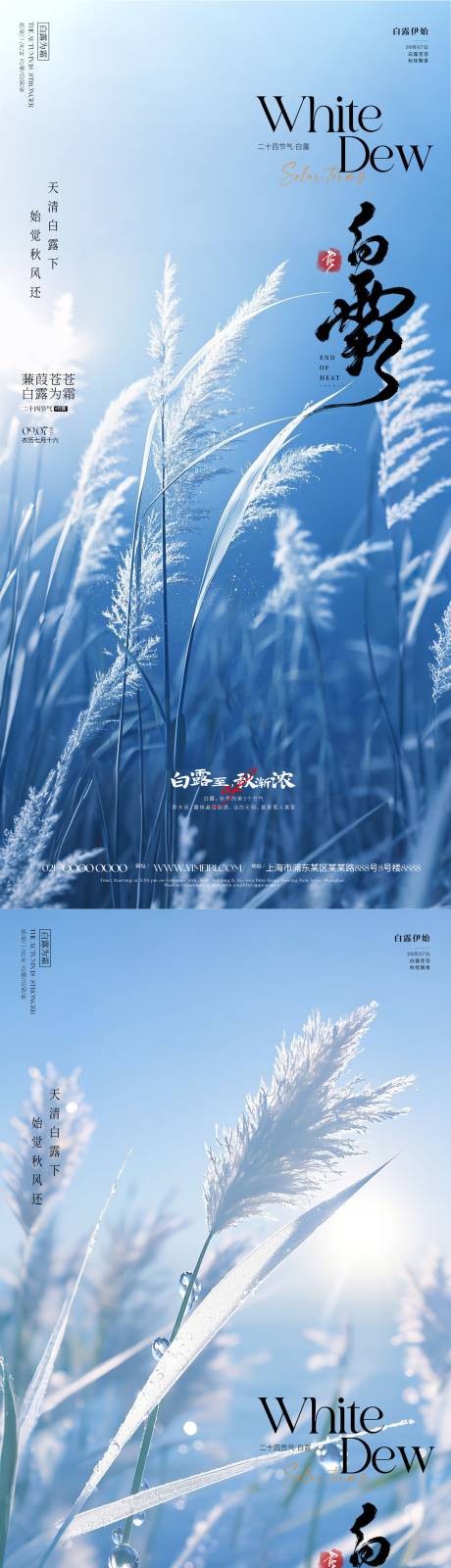 源文件下载【享设计】搜索编号：29690032637356130【白露节气海报】