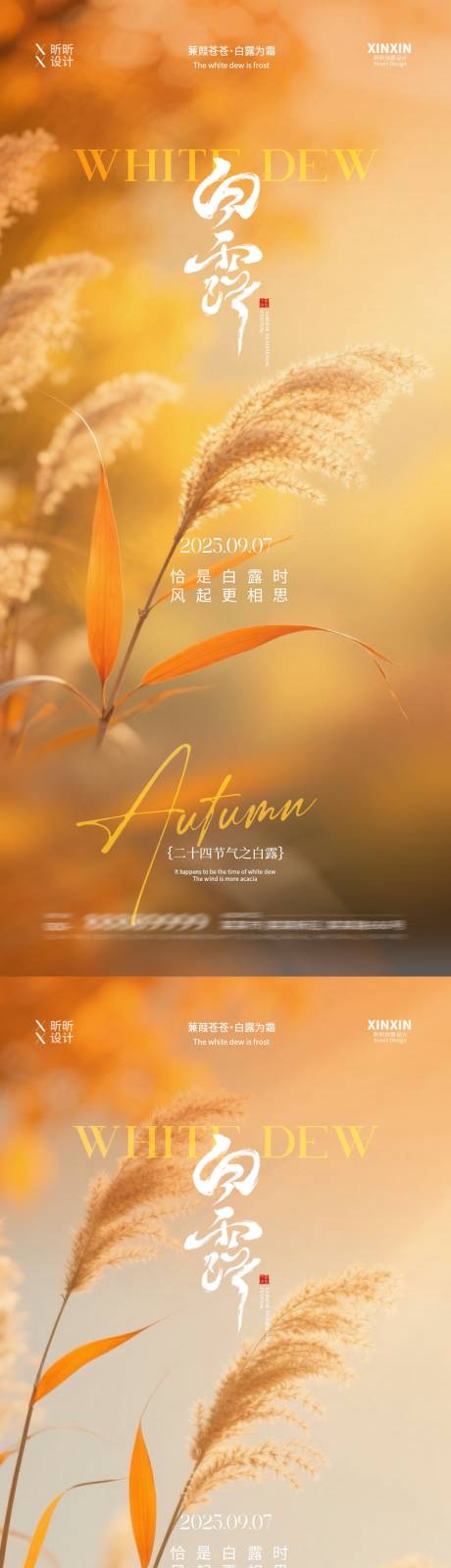 源文件下载【享设计】搜索编号：17720032700114056【地产白露芦苇风景摄影海报】