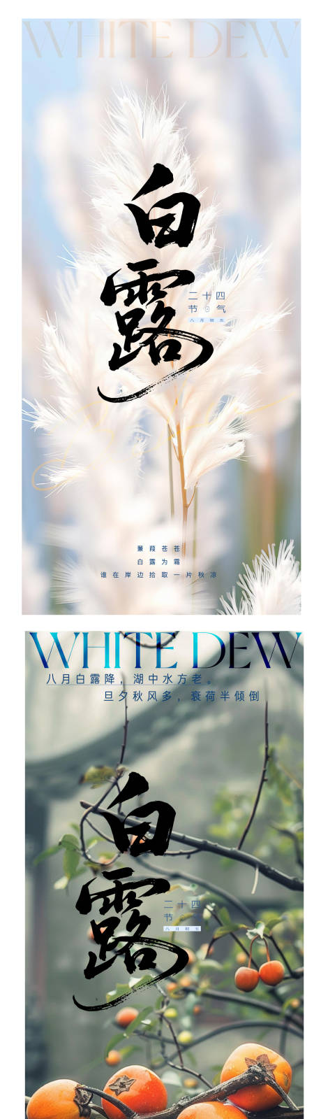 源文件下載【享設計】搜索編號：90060032278648037【白露海報】