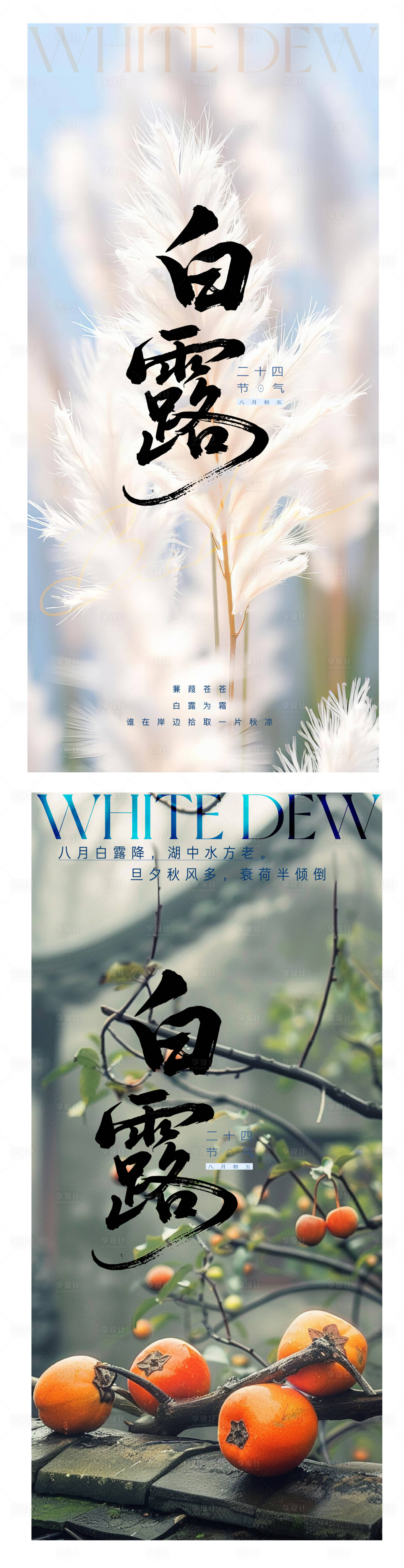 源文件下载【享设计】搜索编号：90060032278648037【白露海报】